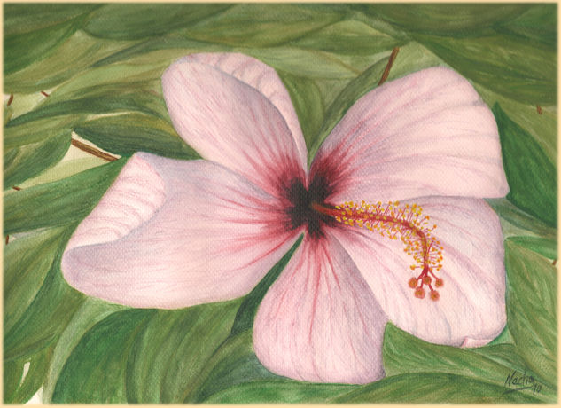 Flor de Tamarindo Watercolour Paper Floral Painting