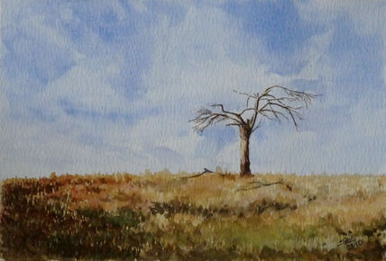 Paisaje con arbol...