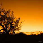 Naturaleza thumbnail 2