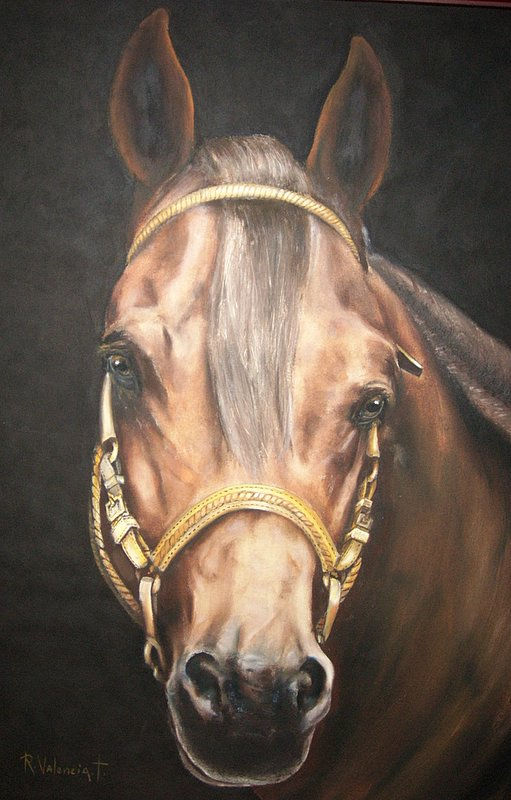 EMBRUJO EQUINO