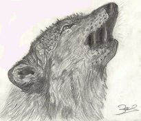 Llop, lobo