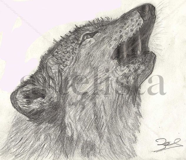 LLOP, LOBO Pencil