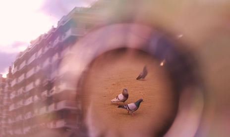Reflejos Barcelona