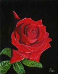 rosa roja Oil Canvas Landscaping