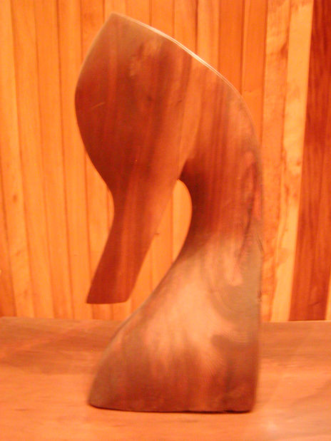 Caballo de mar