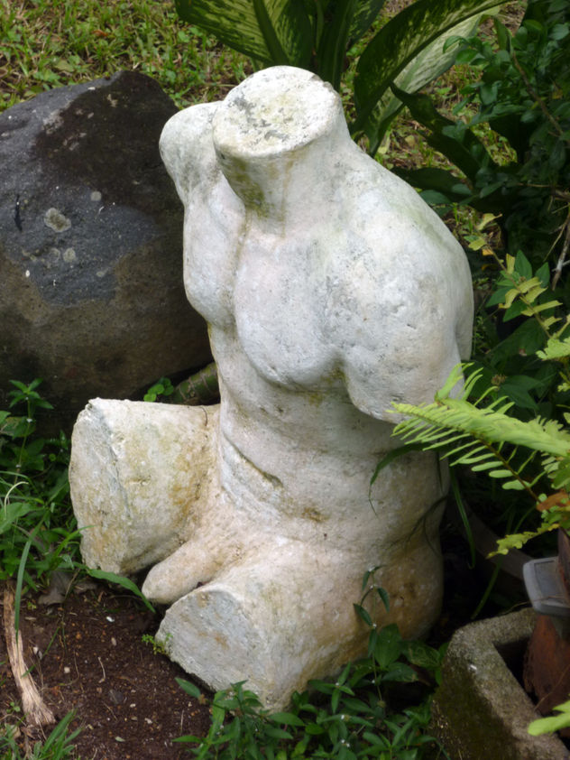 TORSO MASCULINO 2