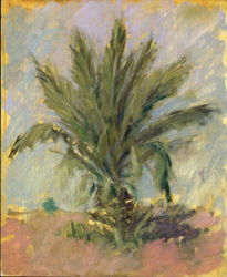 Palmera joven