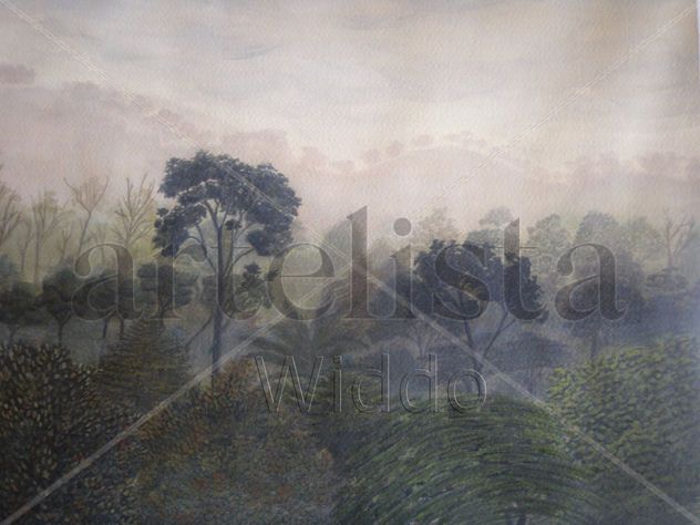 bosque húmedo de Colombia