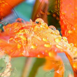 arte digital thumbnail 2