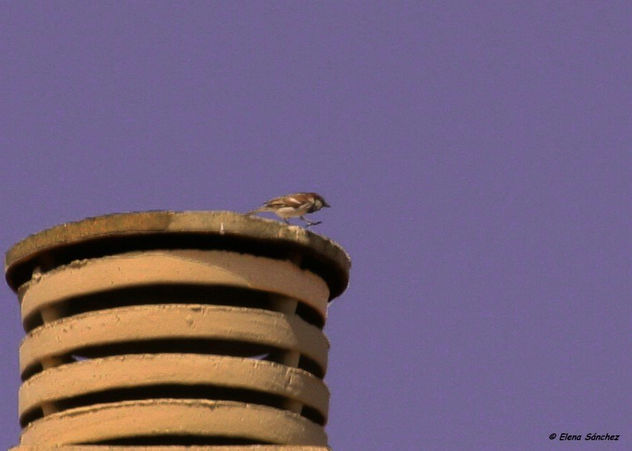 Equilibrio