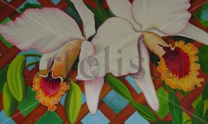 Flores
