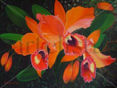 Los Tres Oil Canvas Floral Painting