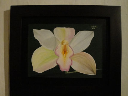 La Orquidea de...