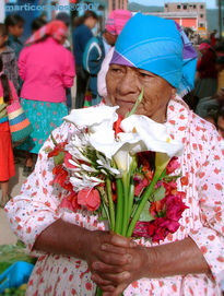 Vendedora de flores