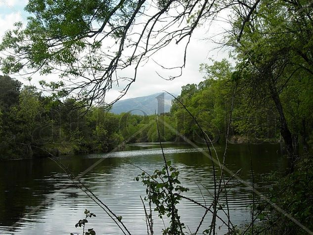 BELLA NATURALEZA 