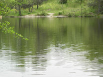 Bella naturaleza (3)