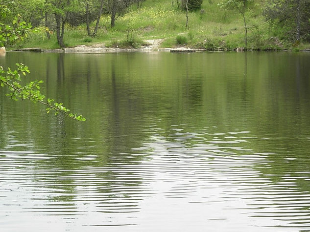 BELLA NATURALEZA (3) 