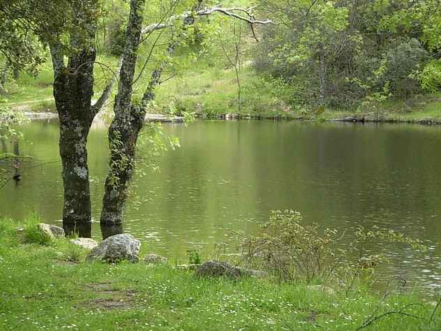 BELLA NATURALEZA (4)
