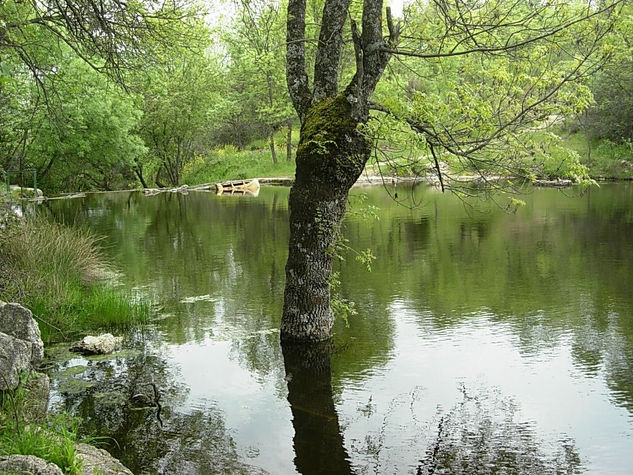 BELLA NATURALEZA (6) 