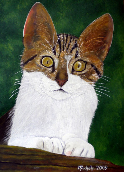 Un chat,a cat,eine Katze Acrylic Canvas Animals