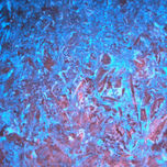 Impressions thumbnail 1