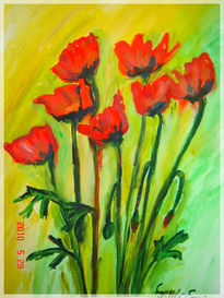 Poppies