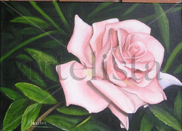 Rosa Oil Canvas Landscaping