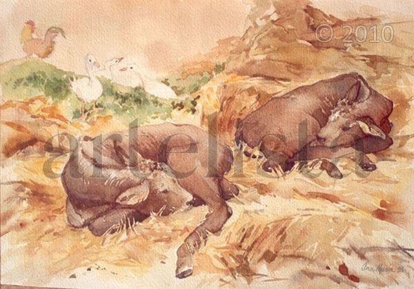 Toros cebú Acuarela Papel Animales