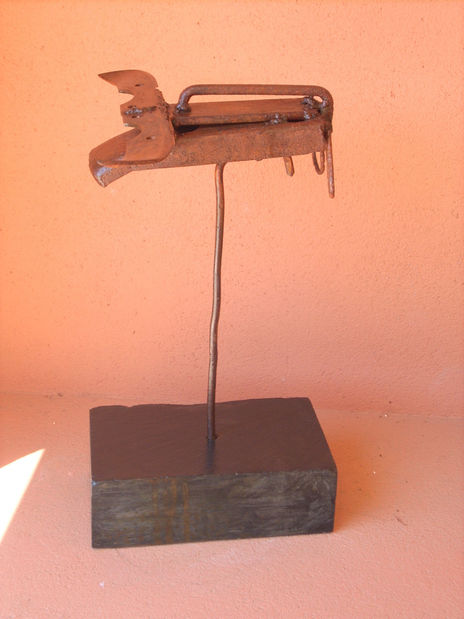 Toro 1