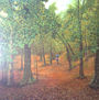 EL BOSQUE