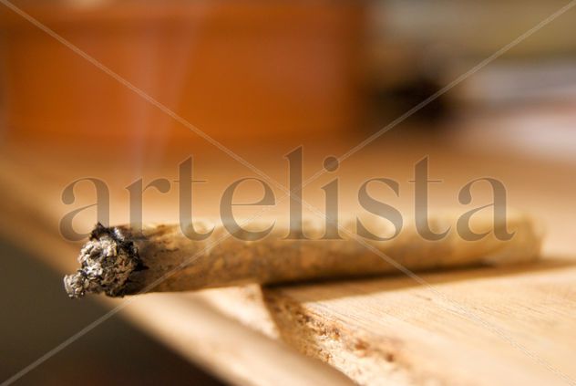 JOINT