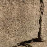 FOTOGRAFIA thumbnail 1