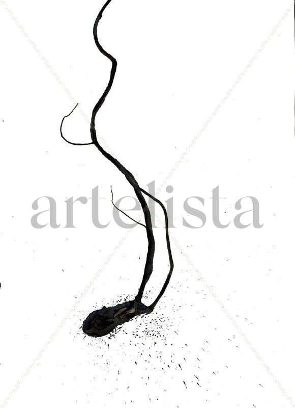 spermatozoide black