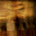 paisajes thumbnail 1