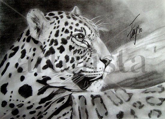 LEOPARDO Pencil