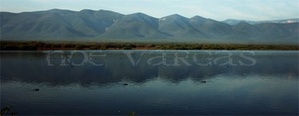 Presa de Alto de...