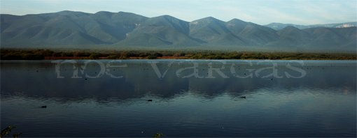 Presa de Alto de caballeros 