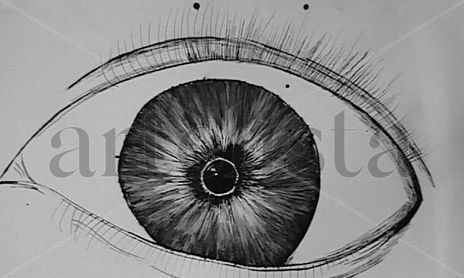 Blanco y Negro