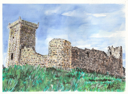 Castillo de los...