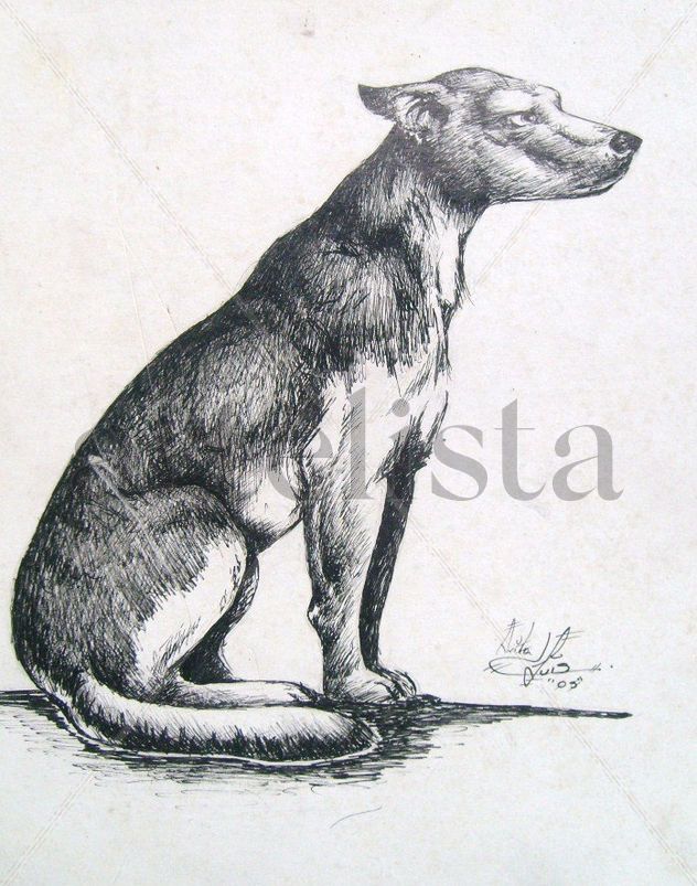 PERRO