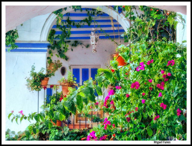 Balcones de Andalucía Viajes Color (Digital)