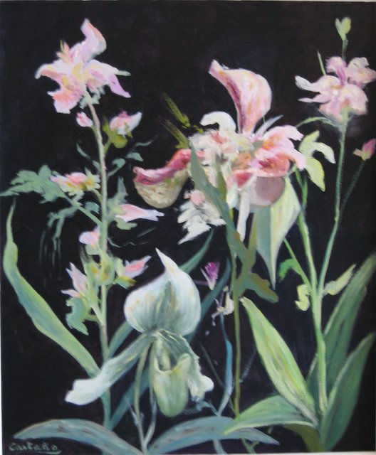 ORQUIDEAS -1