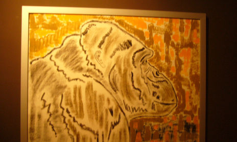Hominización