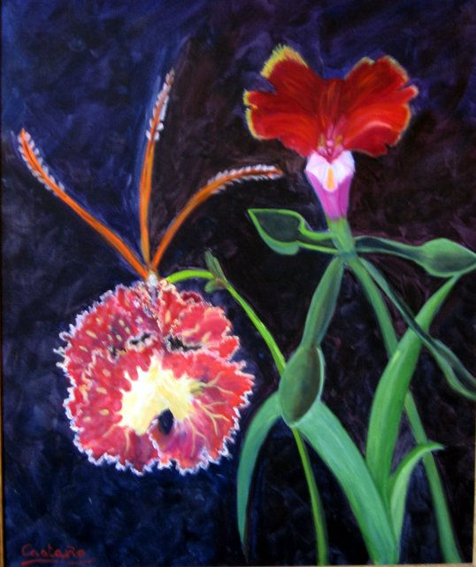 ORQUÍDEAS -3