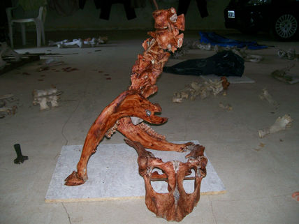 Re-evolution 2/3