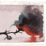 666 Flores thumbnail 2