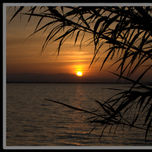 El Mar thumbnail 1