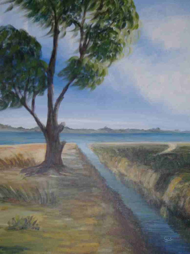 canal salinero