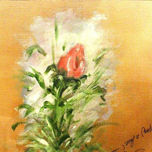 FLORALES thumbnail 1