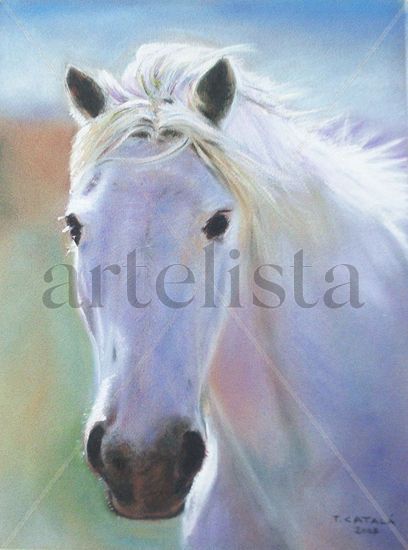 C A B A L L O Pastel Canvas Animals